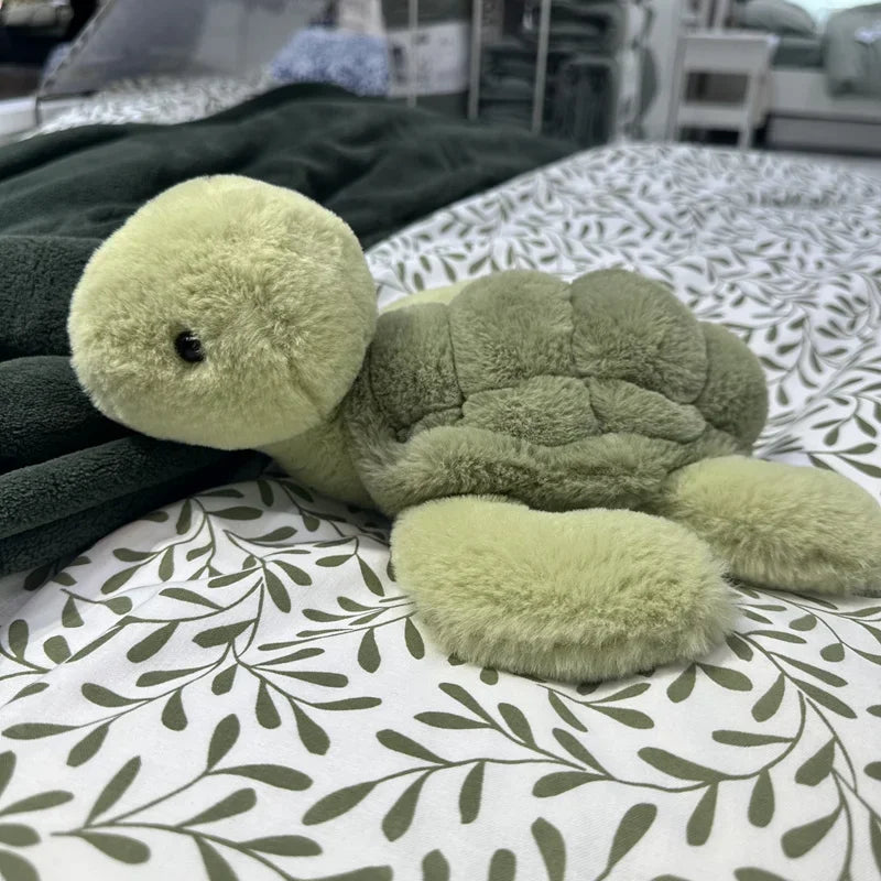 Doudou Tortue_  Nola la Tortue